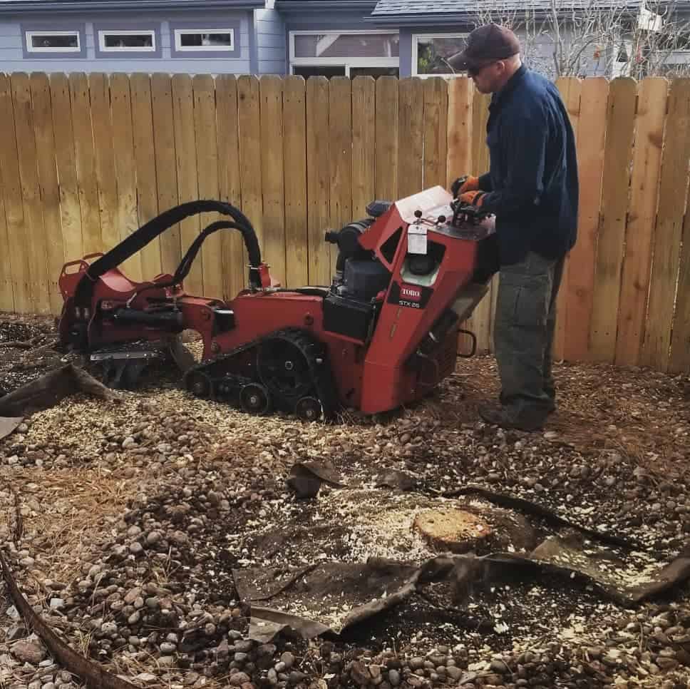 Where to get rid of stump grindings, Eastpoint FL